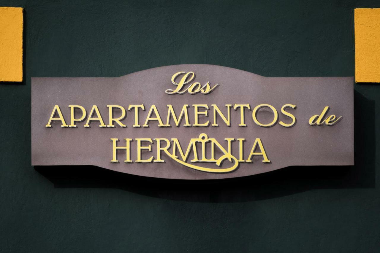 Apartamentos De Herminia Manzaneda  Экстерьер фото